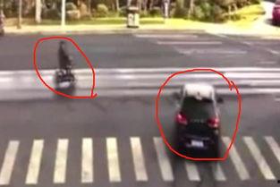 吃瓜群众讹人,揭秘网络谣言背后的真相