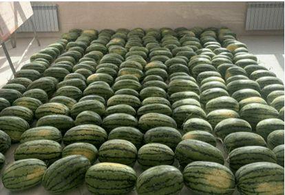 工程学校吃瓜,吃瓜群众眼中的校园风云录