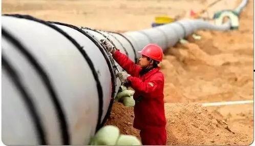 吃玉环小三瓜,探寻美食与文化的完美融合