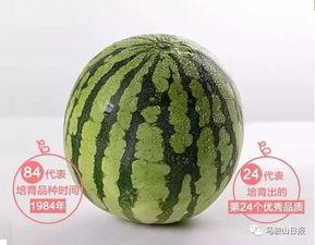 中华大街吃瓜,吃瓜群众的欢乐盛宴