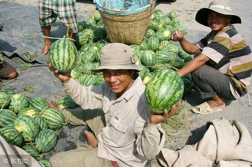 中华大街吃瓜,吃瓜群众的欢乐盛宴