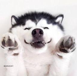 吃瓜视频群众黑脸,黑脸现象背后的社会现象解析