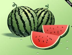 爆笑吃瓜8,笑料横飞，瓜田里的欢乐盛宴