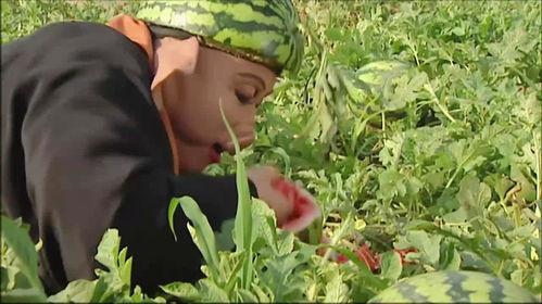 榆林老师吃瓜事件,网络舆论下的教育伦理探讨