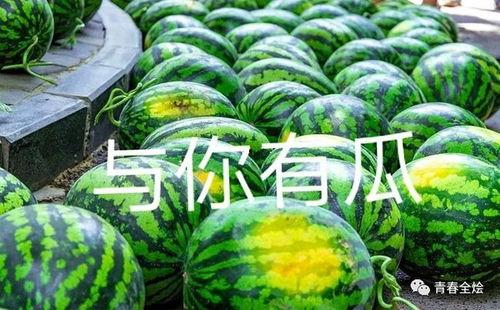 艾滋学校吃瓜,吃瓜群众围观下的真相与反思