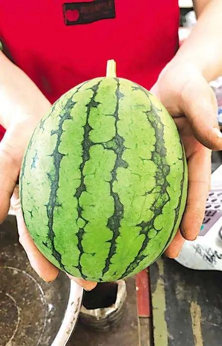 无锡惠山区吃瓜事件,一场引发热议的社区冲突纪实