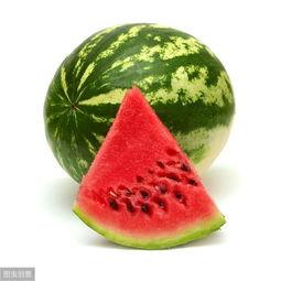 吃瓜群众的计划,一场全民参与的娱乐盛宴