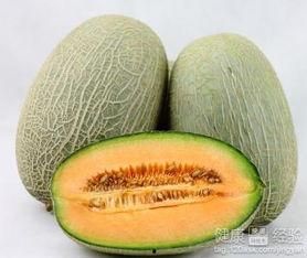 吃哈密瓜章鱼,一场味蕾的奇幻之旅