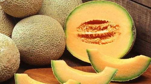 吃哈密瓜章鱼,一场味蕾的奇幻之旅