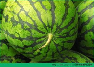 吃瓜发烧,揭秘娱乐圈幕后真相