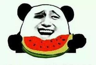 吃瓜发烧,揭秘娱乐圈幕后真相