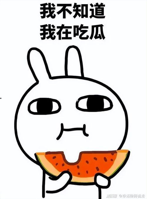 吃瓜猴子脸,揭秘网络红人的神秘魅力