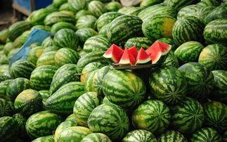 滕州吃瓜摄影地址在哪,揭秘“吃瓜摄影”地址之谜