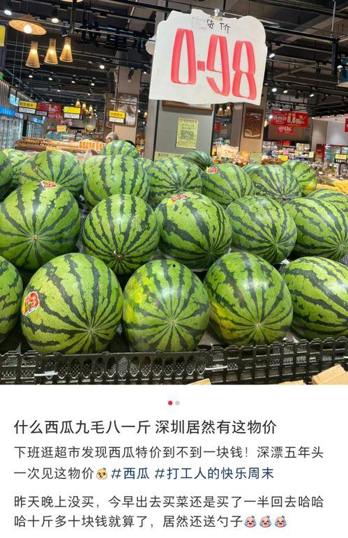 东莞到深圳吃瓜,探寻两地瓜果飘香的风味之旅