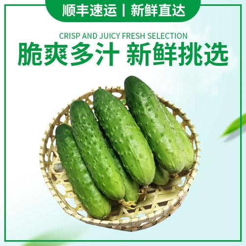 黄瓜嫩瓜怎么吃,轻松解锁美味新境界