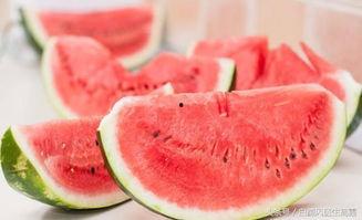 开启吃瓜视频,带你领略网络娱乐新风尚