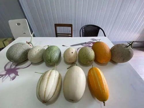 杭州吃瓜的视频,一网打尽本地美食风情