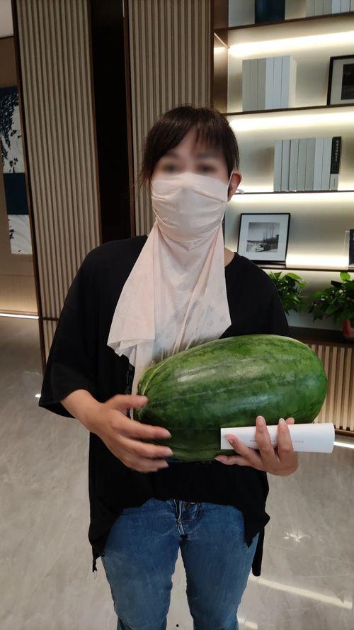 今日大瓜155吃瓜朝阳,155吃瓜朝阳，揭秘娱乐圈幕后风云