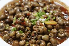 螺蛳会吃瓜吗,揭秘它们对瓜果的偏好之谜