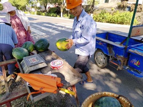 顶楼的吃瓜群众,揭秘都市生活百态