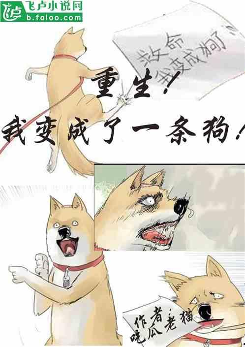 我又吃瓜重生了