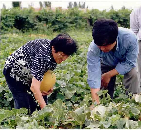 交院操场吃瓜,一场别开生面的“吃瓜”盛宴
