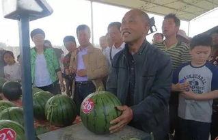 于都疫情吃瓜群众,吃瓜群众视角下的实时动态与热议