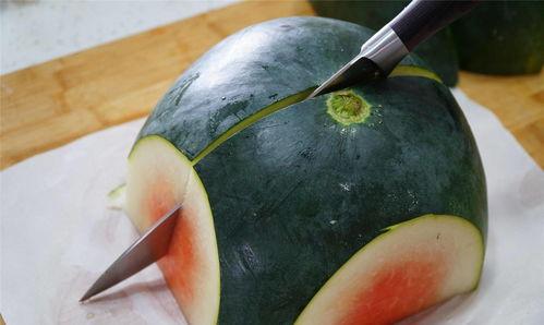 日常切瓜吃瓜,日常切瓜吃瓜的乐趣与智慧