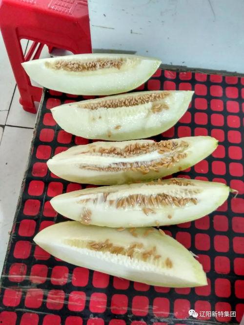 带您吃高端瓜,探寻高端瓜果的奢华之旅