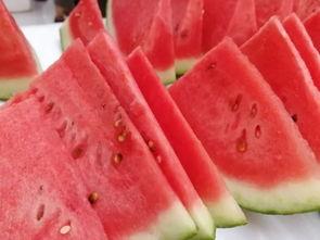 保定华联吃瓜,一场吃瓜盛宴背后的故事