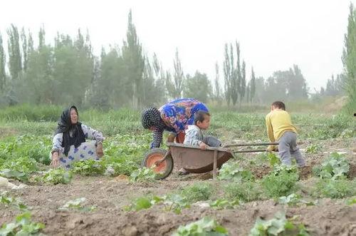 宁蒗县吃瓜群众,吃瓜群众的热闹生活画卷