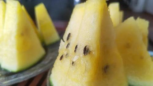 吃瓜教授密码,揭秘网络红人的幕后故事