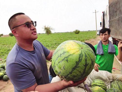 曹县吃瓜后续,揭秘网络舆论背后的真相与反思  第3张