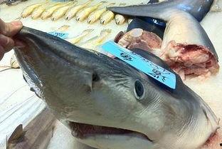 小鲨最新吃瓜,揭秘娱乐圈幕后风云  第3张