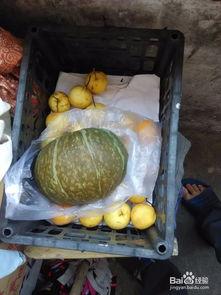 面瓜需要煮熟吃吗,是否需要煮熟食用？  第2张