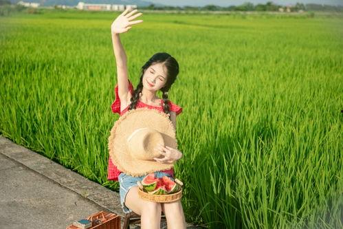 稻田吃瓜女孩壁纸,青春女孩的田园诗意  第1张
