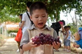 疯狂吃瓜怎么玩  第2张