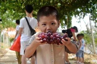 疯狂吃瓜怎么玩  第3张