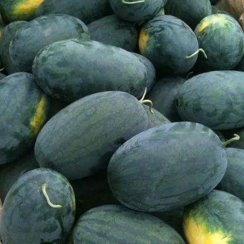 湖北高校吃瓜群,揭秘校园里的八卦风云  第2张