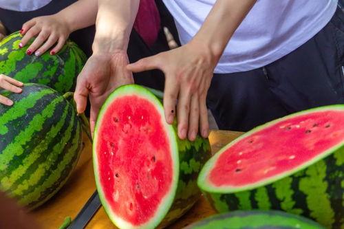 湖北高校吃瓜群,揭秘校园里的八卦风云  第3张