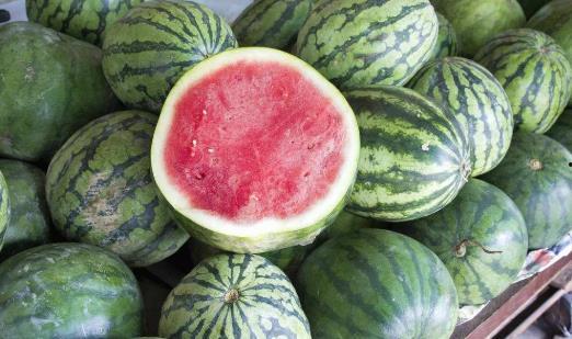 cpu直接烧了吃瓜,吃瓜群众见证科技“烤肉”现场