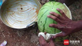 cpu直接烧了吃瓜,吃瓜群众见证科技“烤肉”现场  第3张