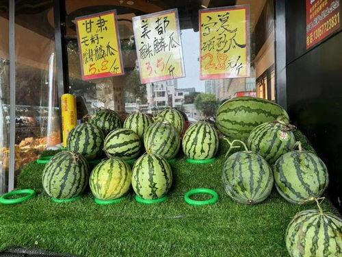 麒麟瓜吃不起了  第3张
