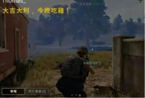 吃鸡吃瓜总结,揭秘网络热点的背后真相