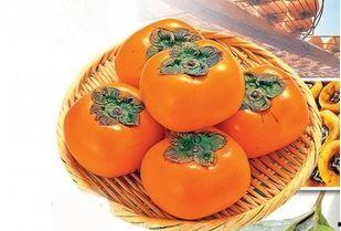 吃柿子能吃辣瓜,美味碰撞的奇妙食趣  第1张