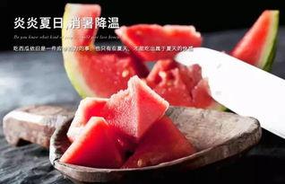 带你吃瓜石杯子,带你领略传统与现代的完美融合