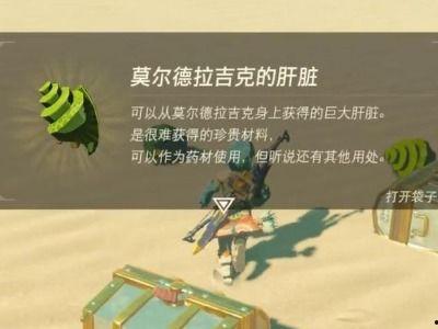 塞尔达 吃瓜的任务,荒野之息吃瓜任务大揭秘！  第3张