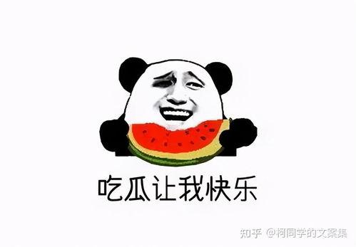 违心吃瓜文案短句,揭秘网络舆论背后的心理真相  第2张